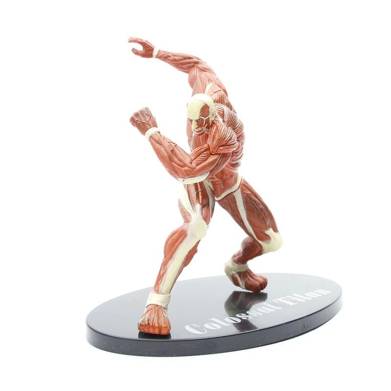 Figurine SNK Titan Colossal Figumaniac